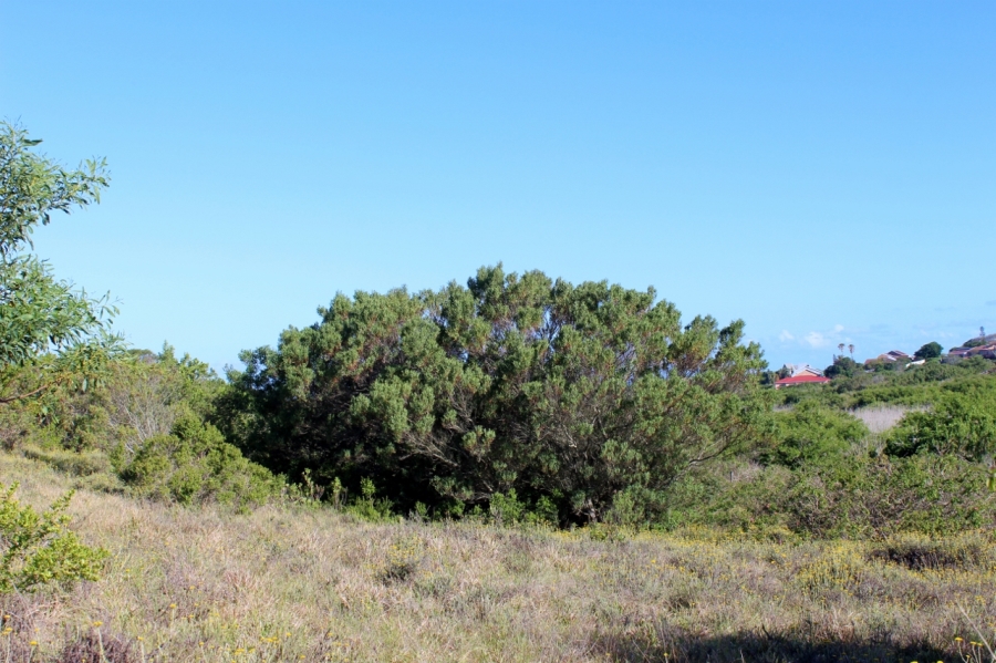 0 Bedroom Property for Sale in Forest Downs Eastern Cape